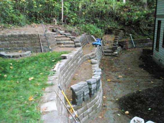 Backyard wall in November 2010